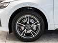 Audi Q5 45 TFSI qu advanced S line HUD Pano Weiß - thumbnail 10