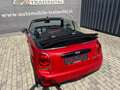 MINI Cooper Cabrio Chili Cabrio 1.5 Benzin Rot - thumbnail 9