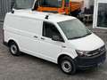 Volkswagen T6 Transporter T6 REGALSYSTEM SORTIMO KLIMA AHK PDC DACHTRÄGER Weiß - thumbnail 9