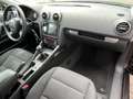 Audi A3 1.9 TDI Attraction Business Edition Clima Cruise D Nero - thumbnail 8