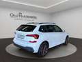 Skoda Kamiq Selection TSI DSG Navi AHK BlackPaket Weiß - thumbnail 6