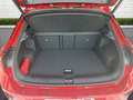 Volkswagen T-Roc R-Line 1.5 TSI DSG AHK Navi Rot - thumbnail 15