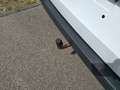 Mercedes-Benz Vito 116 Mixto.6sitze.4x4.Automat.2.5Ahk. Weiß - thumbnail 6