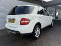 Mercedes-Benz ML 350 M-klasse Blanc - thumbnail 12
