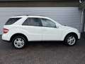Mercedes-Benz ML 350 M-klasse Blanc - thumbnail 6