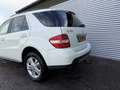 Mercedes-Benz ML 350 M-klasse Blanc - thumbnail 9