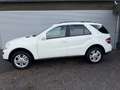 Mercedes-Benz ML 350 M-klasse Blanc - thumbnail 5