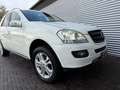 Mercedes-Benz ML 350 M-klasse Blanc - thumbnail 17