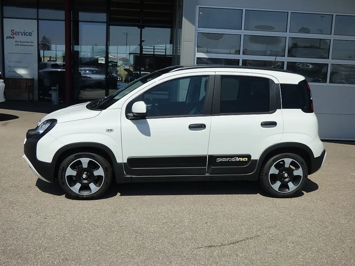 Fiat Panda Pandina Weiß - 2