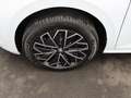 Skoda Kamiq Selection 1.0 TSI DSG / Matrix, ACC, AHK Weiß - thumbnail 10