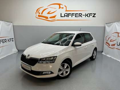 Skoda Fabia Ambition 1,0 TSI SITZHZG PDC TEMP KLIMA