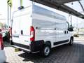 Opel Movano Cargo L2H2 103kw 2,2 BlueHDI *RFK*AHK*NAV Alb - thumbnail 3