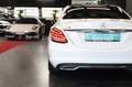 Mercedes-Benz C 180 C -Klasse Lim. Avantgarde*Pano*Kamera*Led* Weiß - thumbnail 15