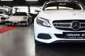 Mercedes-Benz C 180 C -Klasse Lim. Avantgarde*Pano*Kamera*Led* Weiß - thumbnail 13