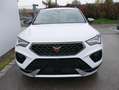 CUPRA Ateca 2,0 TSI DSG 4x4*AHK-SCHWENKBAR*NAVI*PDC*KAMERA*... Weiß - thumbnail 3