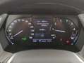 BMW Z4 Z4 sdrive 20i Advantage Grigio - thumbnail 16