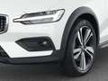 Volvo V60 Cross Country B4 AWD Ultimate 19"+B&W+STANDH Weiß - thumbnail 9