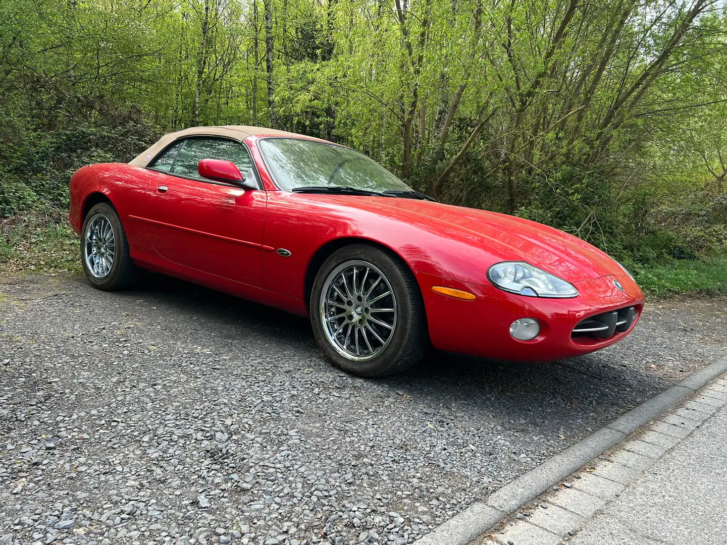 Jaguar XK8 XK8 Cabriolet Rojo - 1