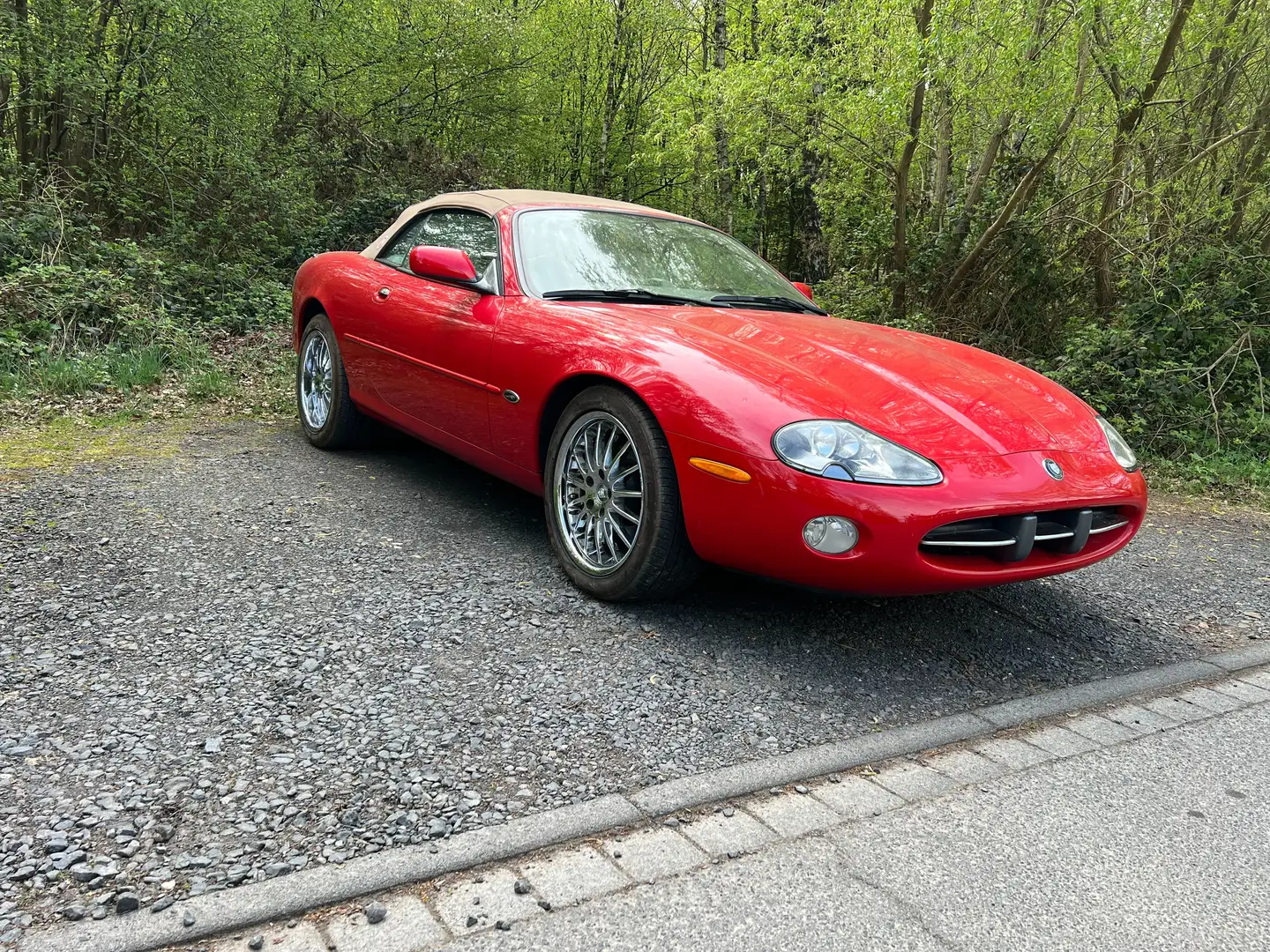 Jaguar XK8 XK8 Cabriolet Rojo - 2