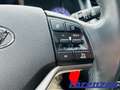 Hyundai TUCSON Intro Edition Navi Mehrzonenklima Fahrerprofil DAB Argent - thumbnail 15