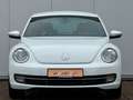 Volkswagen Beetle 1.4 TSI "Cup" 2. HAND SCHH. TEMPOM. PDC Blanc - thumbnail 11