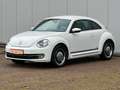 Volkswagen Beetle 1.4 TSI "Cup" 2. HAND SCHH. TEMPOM. PDC Blanc - thumbnail 14