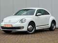 Volkswagen Beetle 1.4 TSI "Cup" 2. HAND SCHH. TEMPOM. PDC Blanc - thumbnail 1