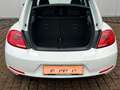 Volkswagen Beetle 1.4 TSI "Cup" 2. HAND SCHH. TEMPOM. PDC Blanc - thumbnail 13