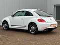 Volkswagen Beetle 1.4 TSI "Cup" 2. HAND SCHH. TEMPOM. PDC Blanc - thumbnail 17