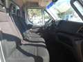 Iveco Daily 35c15 frigo Blanc - thumbnail 10
