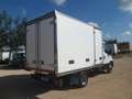 Iveco Daily 35c15 frigo Blanc - thumbnail 4