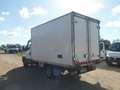 Iveco Daily 35c15 frigo Blanc - thumbnail 5