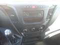 Iveco Daily 35c15 frigo Blanc - thumbnail 15