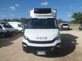 Iveco Daily 35c15 frigo Blanc - thumbnail 2