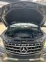 Mercedes-Benz ML 350 FULLY LOADED -ONLY FOR EXPORT OUT OF EUROPE Grau - thumbnail 24