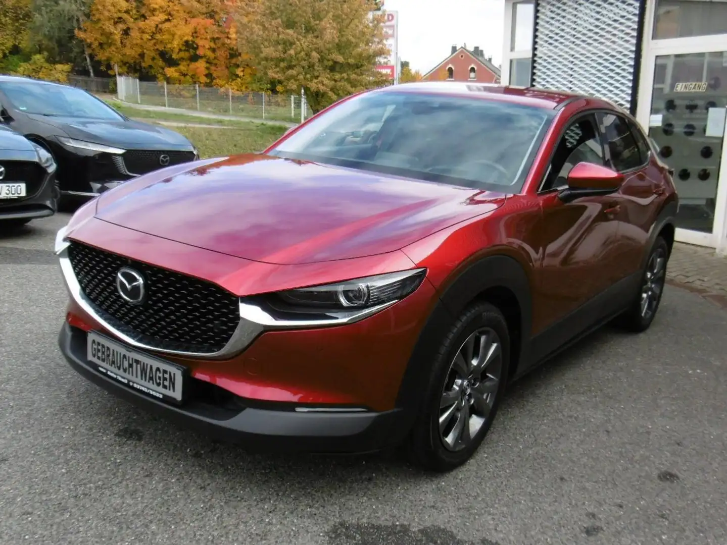 Mazda CX-30 Selection 2WD 360°Kamera Matrix LED Navi Rot - 1