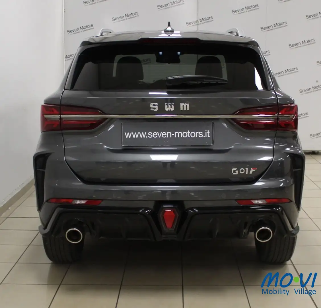 SWM G01F G01 F Gris - 2