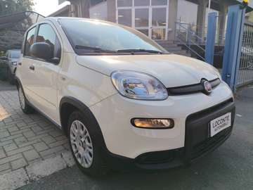 Pandina 1.0 firefly hybrid