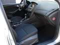 Ford Focus 1.5 TDCi 120 CV Start&Stop Business Grigio - thumbnail 14