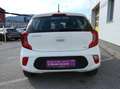 Kia Picanto Edition 7 Weiß - thumbnail 6