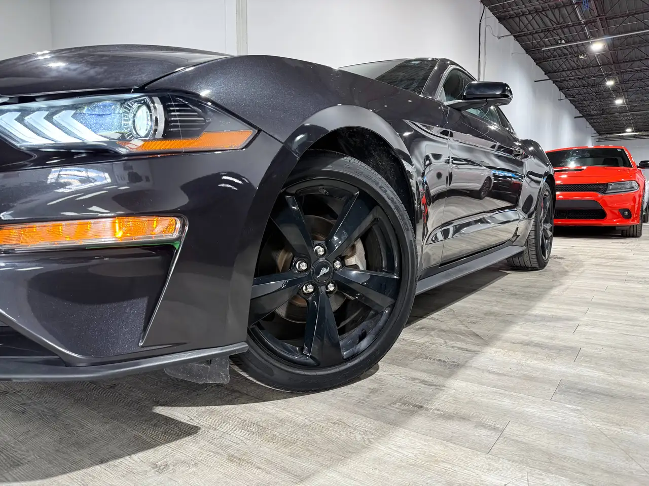 Ford Mustang fotografie Ford Mustang