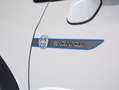 Suzuki S-Cross ALLGRIP shine Weiß - thumbnail 14