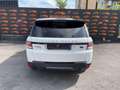 Land Rover Range Rover Sport Sport 3.0 TDV6 HSE Dynamic PANO NAVI Bianco - thumbnail 6