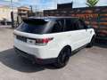 Land Rover Range Rover Sport Sport 3.0 TDV6 HSE Dynamic PANO NAVI Bianco - thumbnail 5
