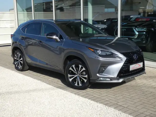Lexus NX 300h Hybrid AWD BLACK LINE +LEDER +TREKHAAK +DODEHOEK