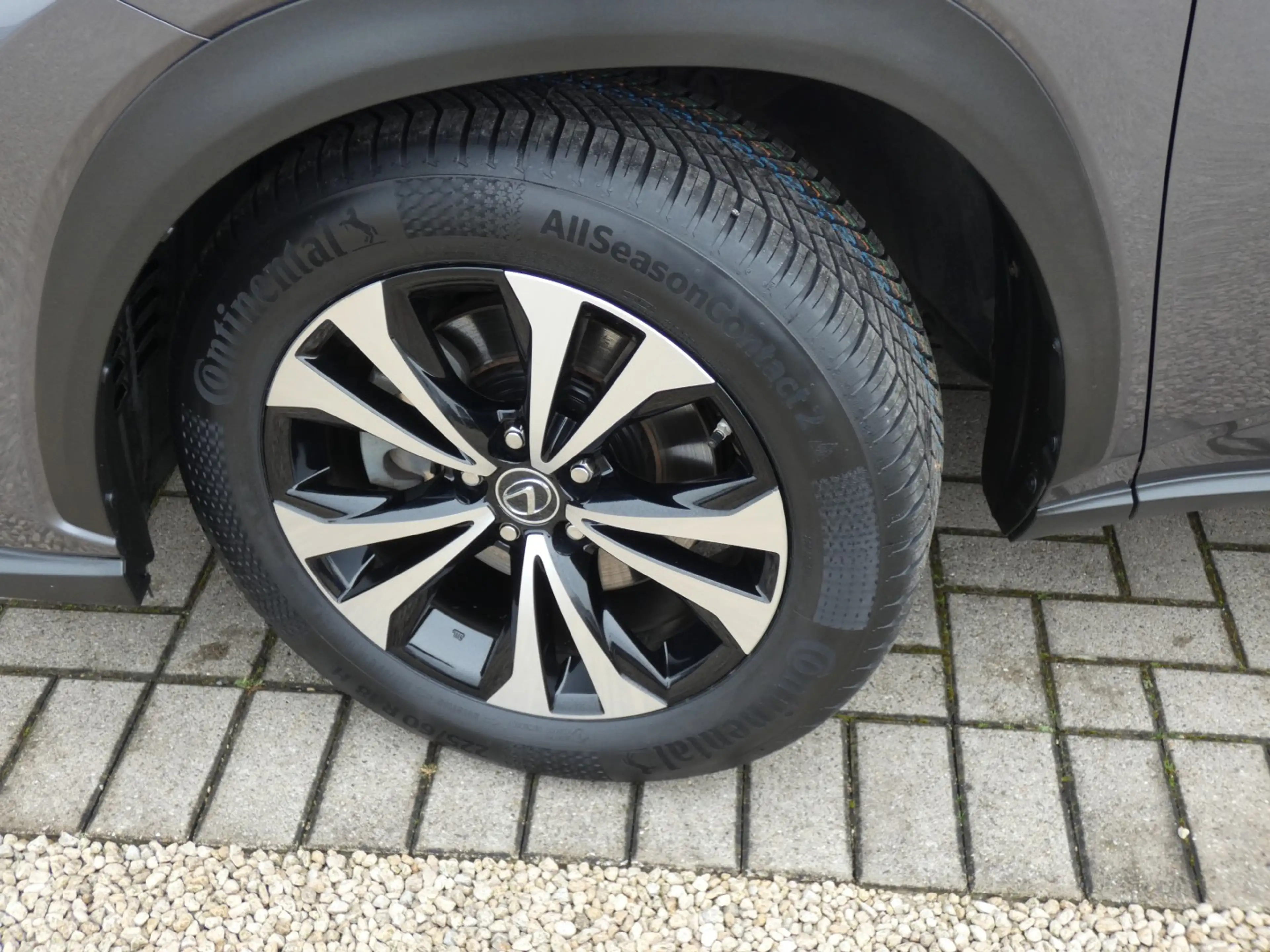 Lexus NX 300h Hybrid AWD BLACK LINE +LEDER +TREKHAAK +DODEHOEK — photo 5