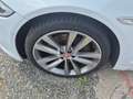 Jaguar XJ 3.0 V6 Diesel R-Sport Blanc - thumbnail 14