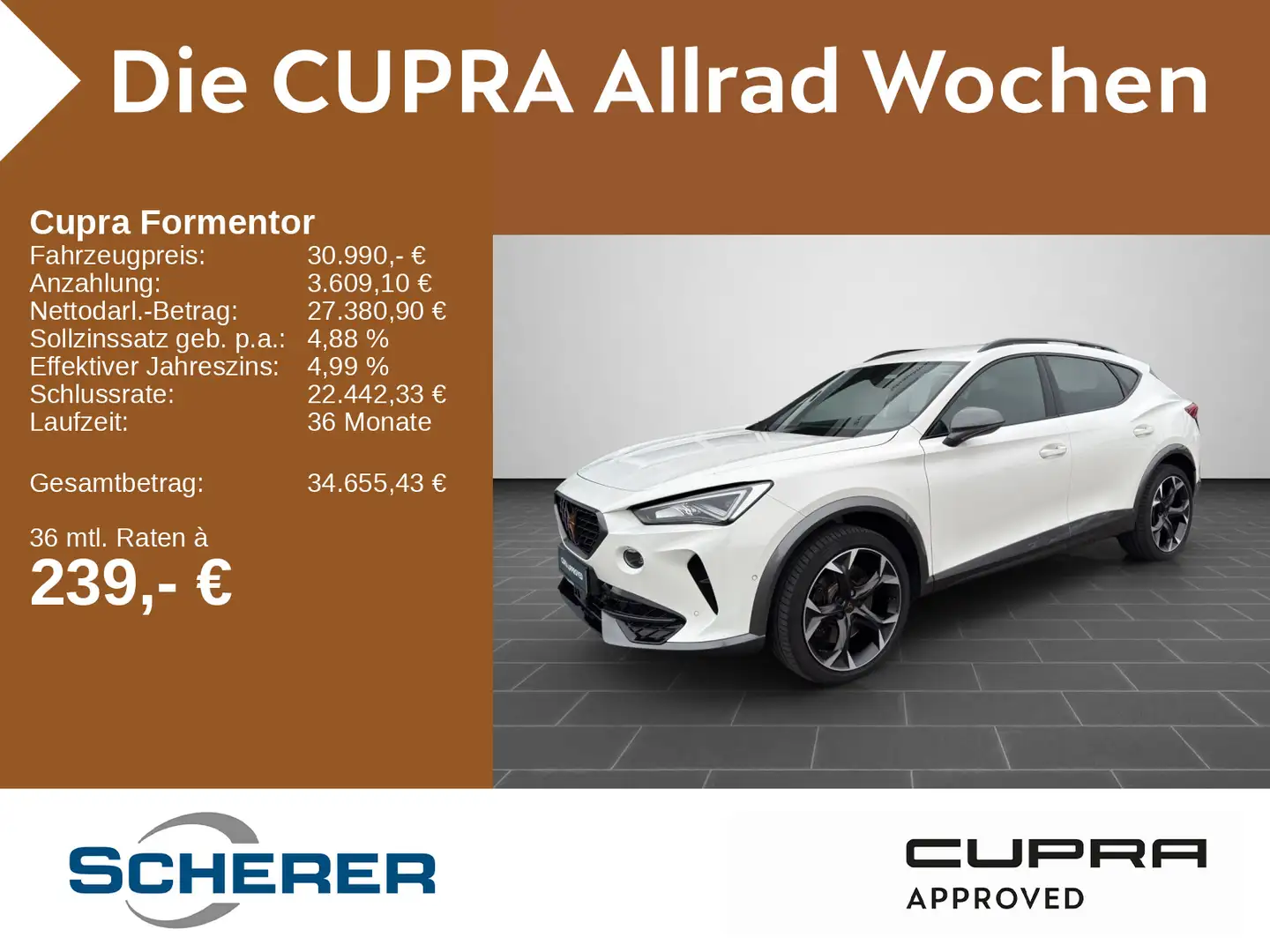 CUPRA Formentor VZ 2.0 TSI 4x4 DSG NAVI PDC SHZ CARPL Weiß - 1
