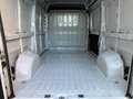 Fiat Ducato Ducato 35 2.2 Mjt 140CV MH2 - thumbnail 11