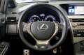 Lexus RX 450h Hybrid F Sport Gris - thumbnail 30